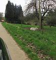 6de Nonkelfransrit 21-4-2013 (69)